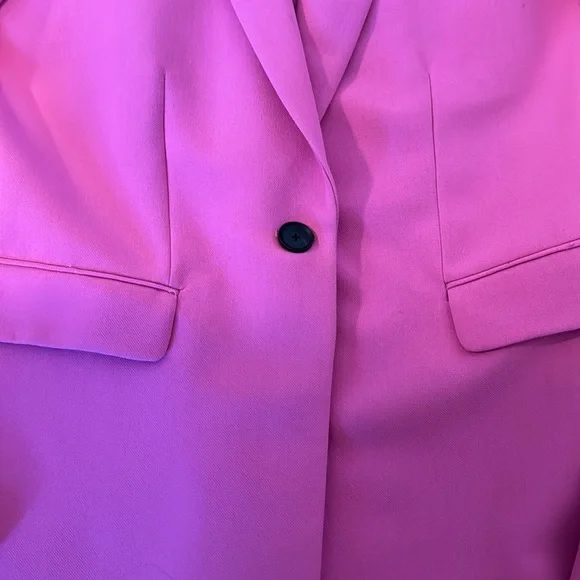 Zara Pink Blazer - Picture 4 of 5